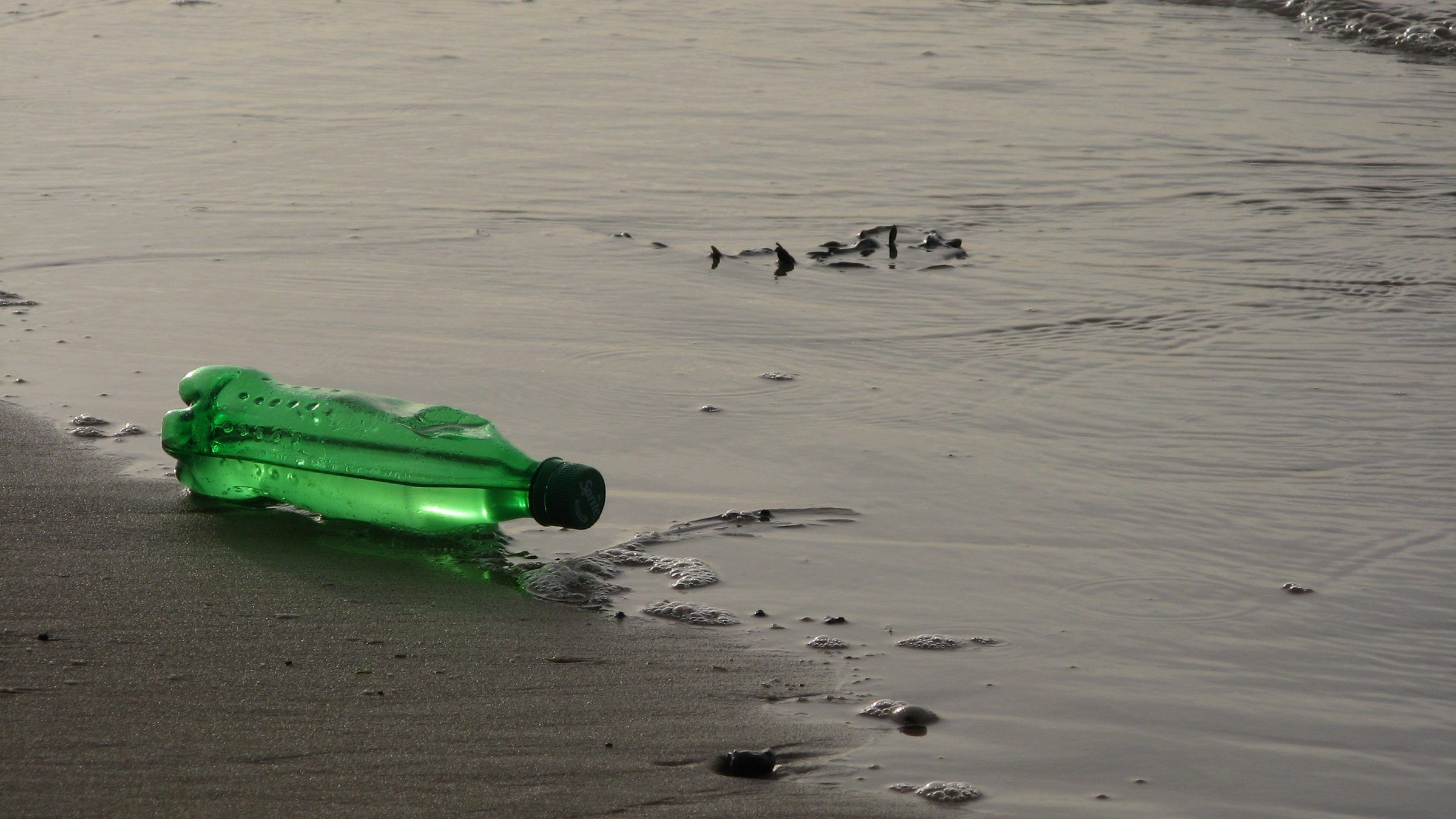An empty green plastic bottle lying on wet sand at the water's edge, with strands of seaweed in the shallow water behind it.